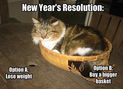 newyearcat